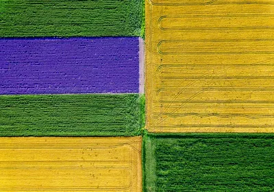 agriculture agronomic science crop data sharing